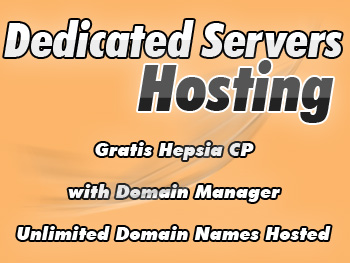 Cheap dedicated server hosting services